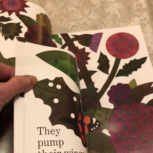 WAITING FOR WINGS-NWOT SCHOLASTIC CHILDREN’S BOOK EDUCATIONAL NON FICTION - #232 - Picture 4 of 8